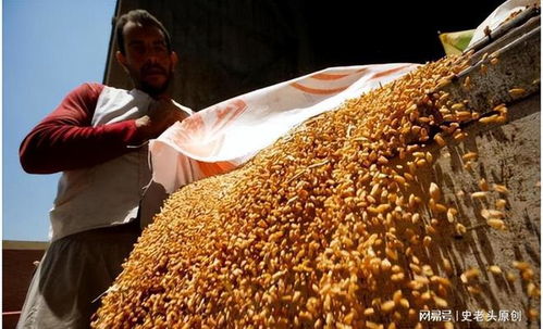 深層戰(zhàn)略還是表象目標(biāo)？聯(lián)合國高官揭露以色列軍事行動的真實意圖