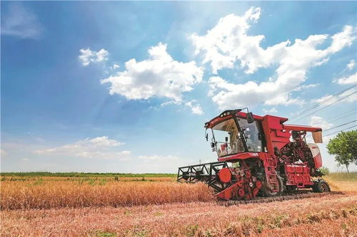 糧農組織推動種子與作物多樣性發展，保障全球糧食安全